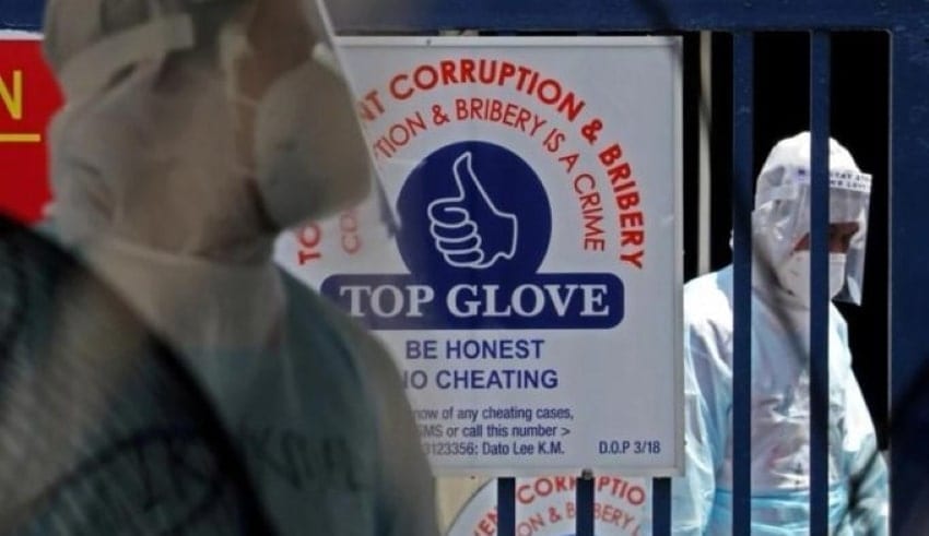 TopGlove