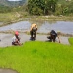Philippines