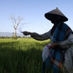 WorldFoodDay