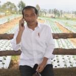JokoWidodo