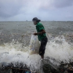 Environmentalgroups