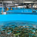 Former Marine Life Aquaculture Director accused of stealing $250,000 from AVA