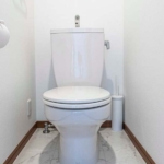 singapore cops save chinese lady trapped in condo toilet for 4 days