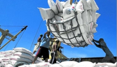 why is the philippines the leading rice importer