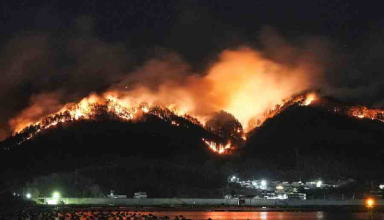 rain brings hope as japan battles unprecedented wildfire in ofunato