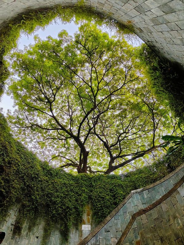 fort canning spiral staircase in singapore