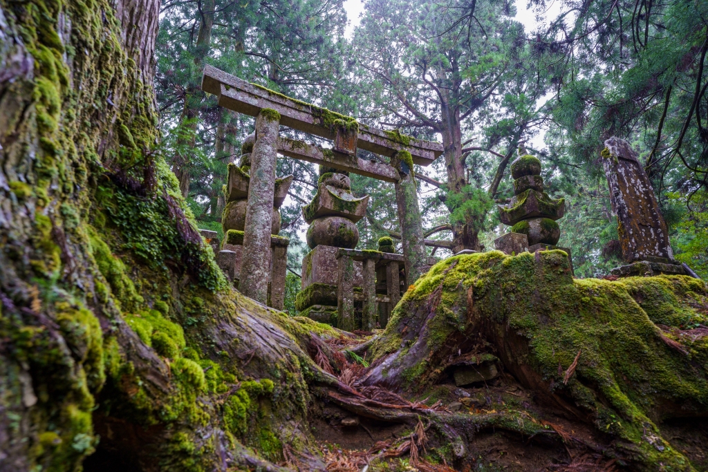 japanese cemetery park