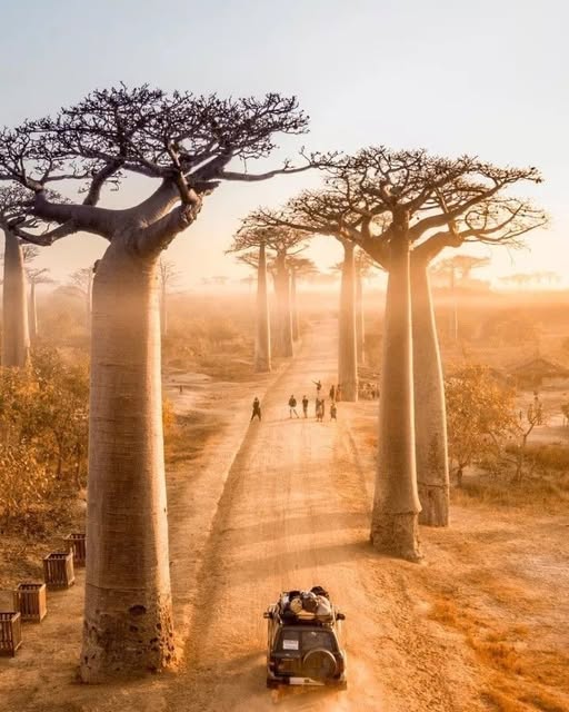 madagascar