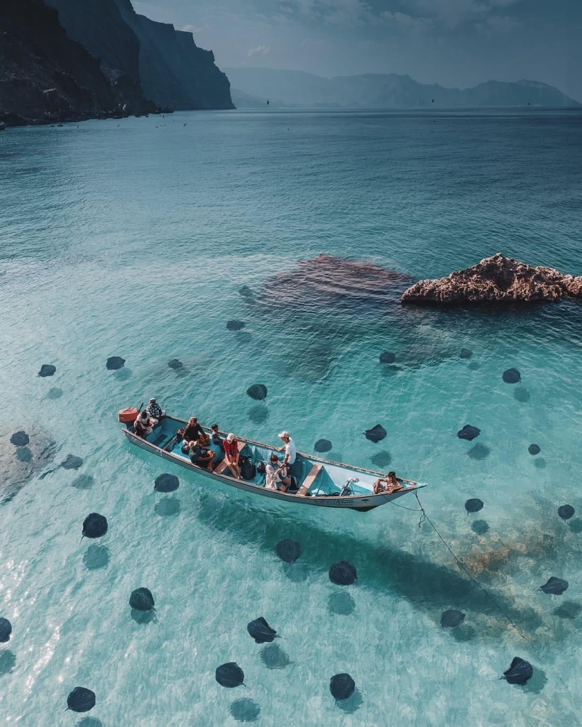 socotra, yemen