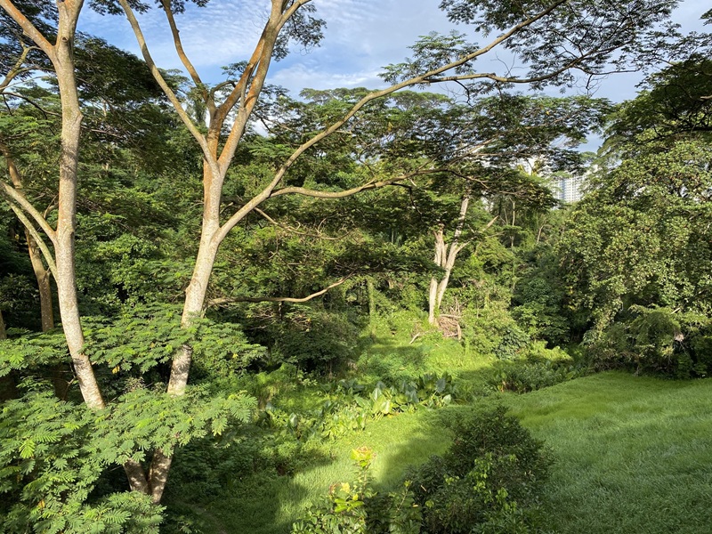 the southern ridges
