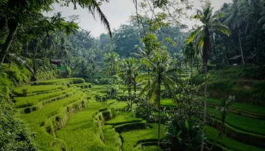 best time to visit bali