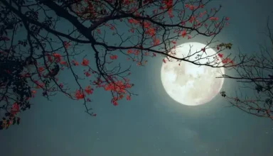 full moon photography philippines