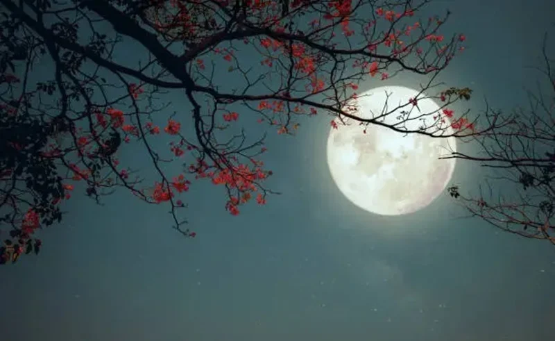 full moon photography philippines