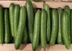 japanese festivals sell cucumbers