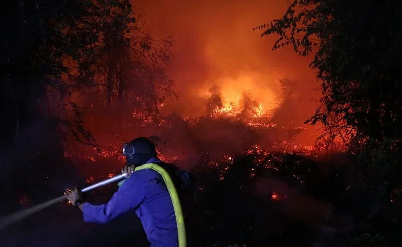 indonesia wildfires