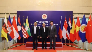 china asean investment council