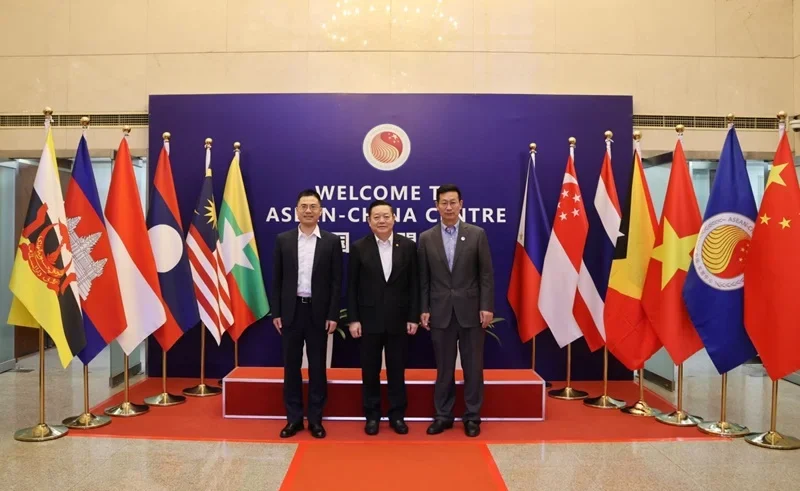 china asean investment council