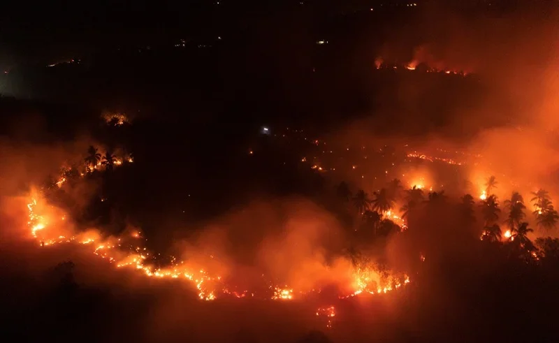 indonesia wildfires
