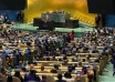 unga 81