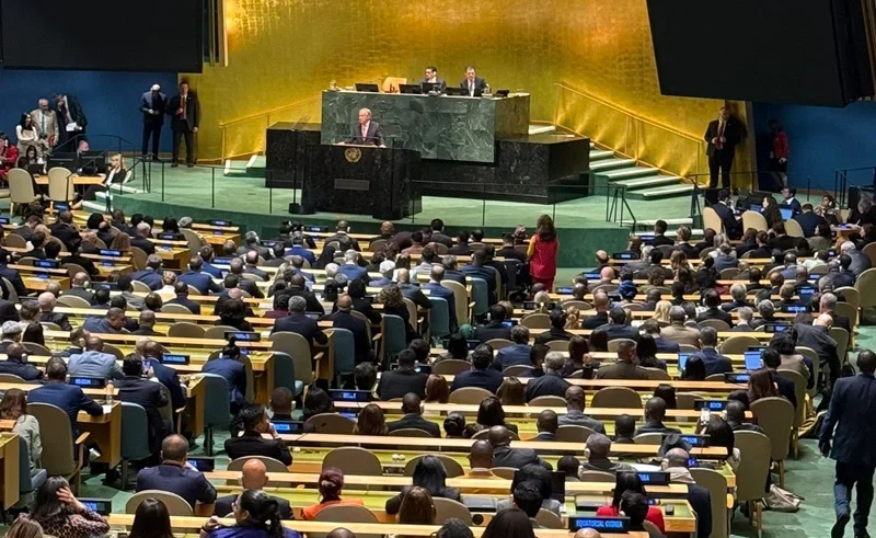 unga 81