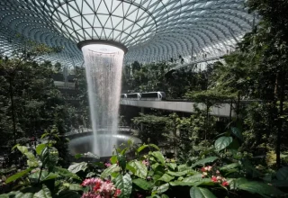 Changi T5 Exhibition