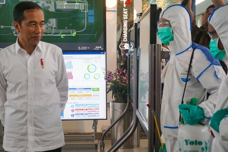 Pandemic and economic growth