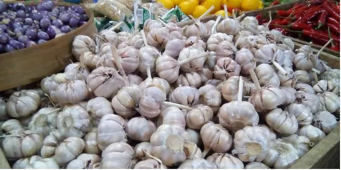 INDEF Economist: Government is late (again) keeping stock of garlic