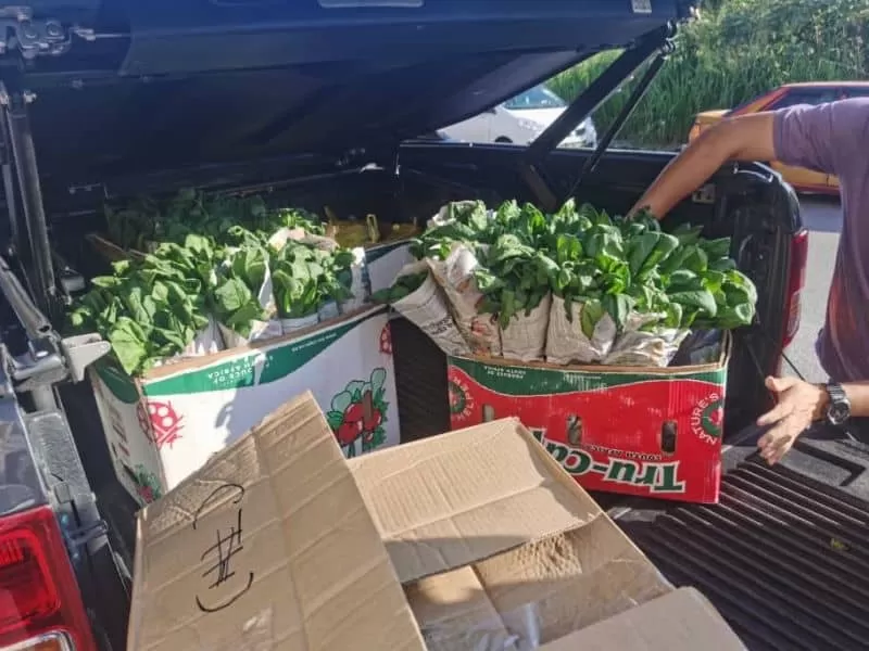 Cameron Highland Farmers cut off from supplying, donates vegetable to poor and elderly