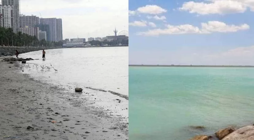 “Improvement in Disguise: Earth is Healing over Quarantine”
