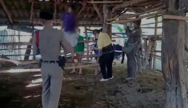 Bangkok bank heist in Chiang Rai was hanging in a forest
