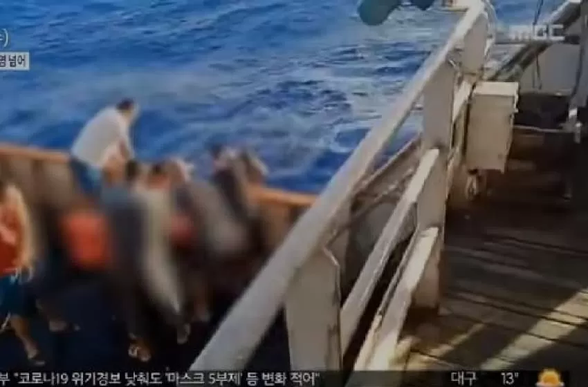 Case of Chinese fishing ship dumps Indonesian crew to sea, Govt to guarantee the rights of the crew