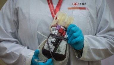 Indonesian Red Cross (PMI) shows a donated blood bag