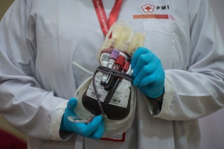 Indonesian Red Cross (PMI) shows a donated blood bag