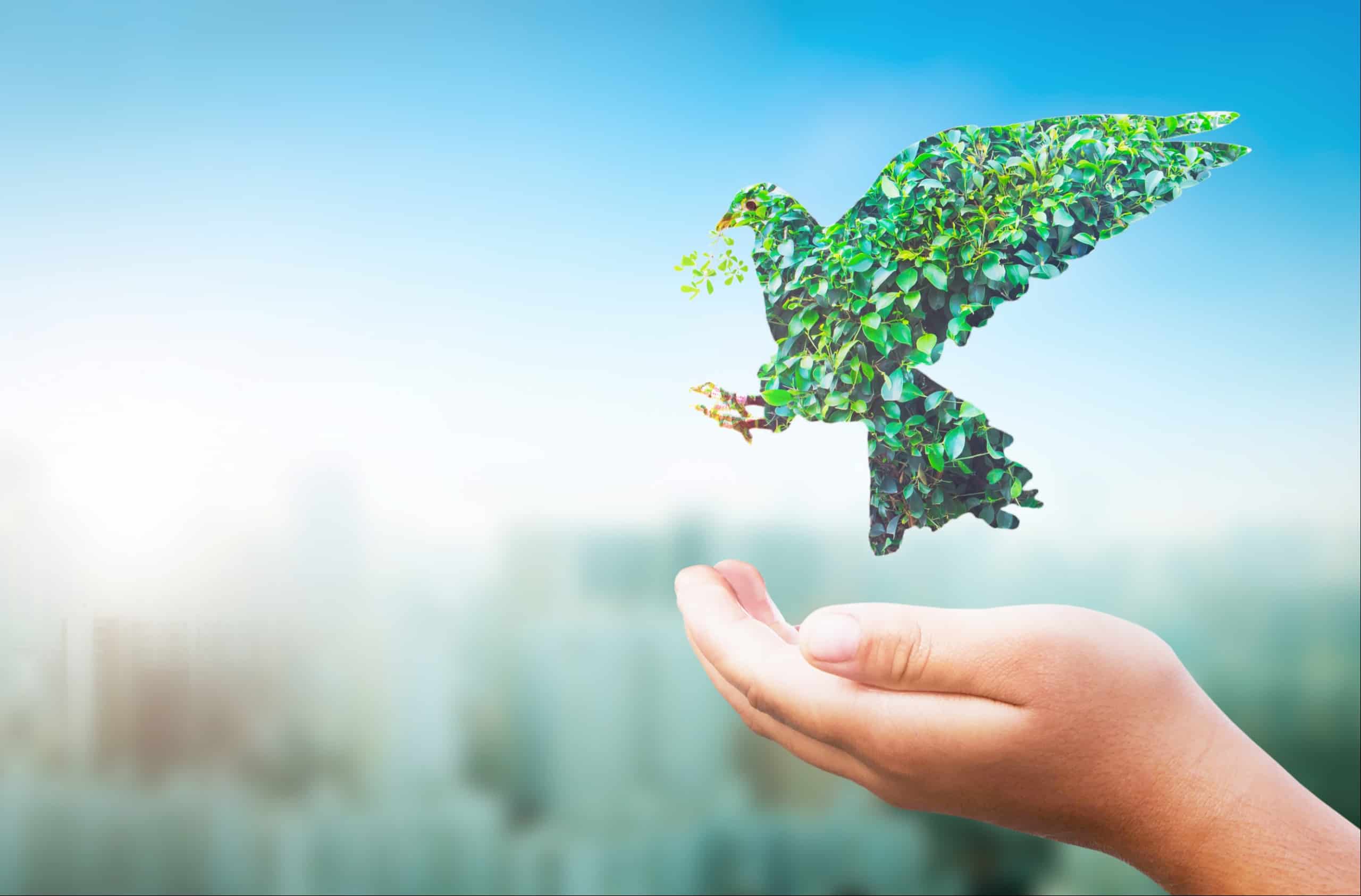 ASEAN calls for nature’s conservation to prevent future pandemics
