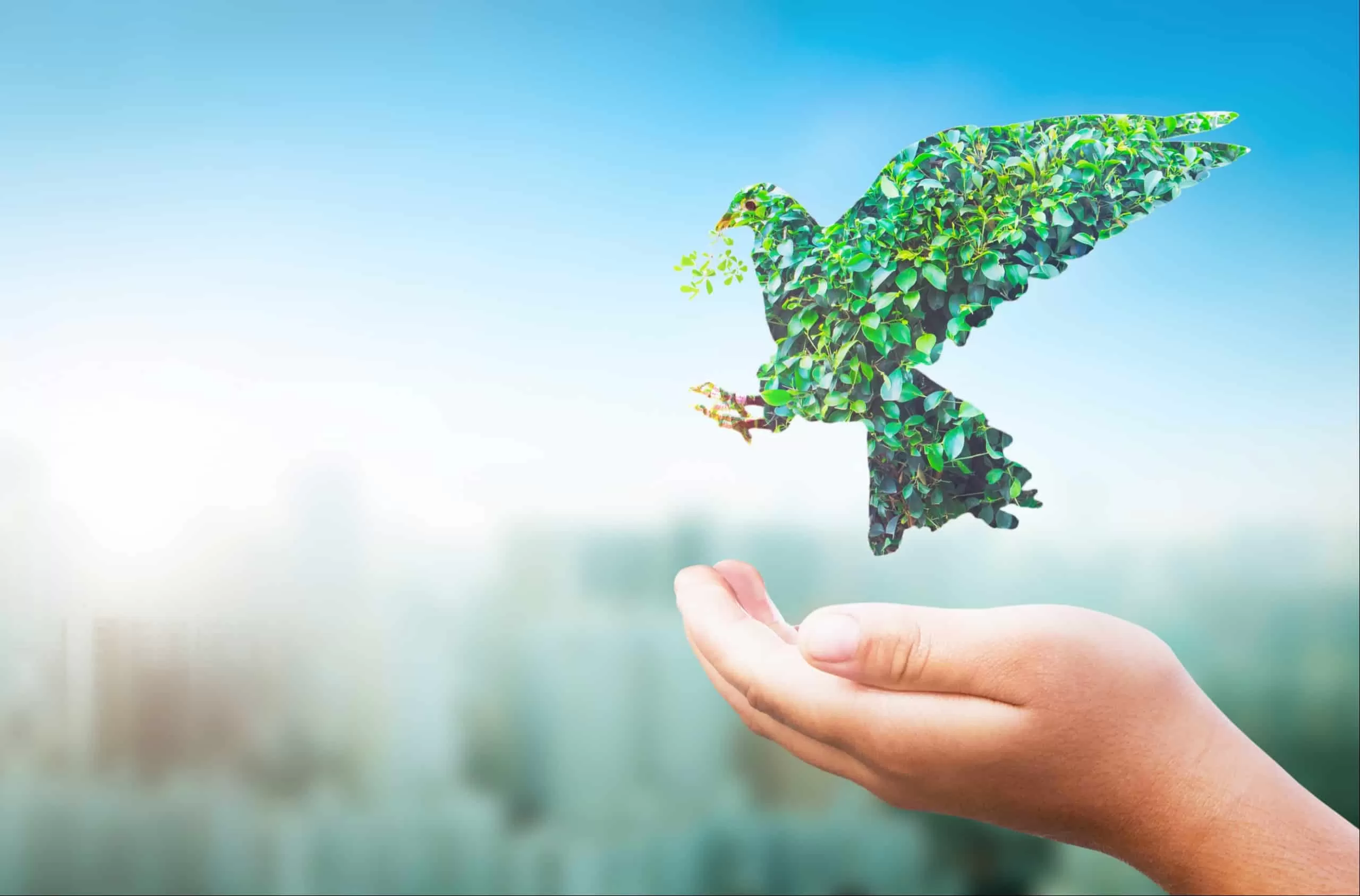 ASEAN calls for nature’s conservation to prevent future pandemics