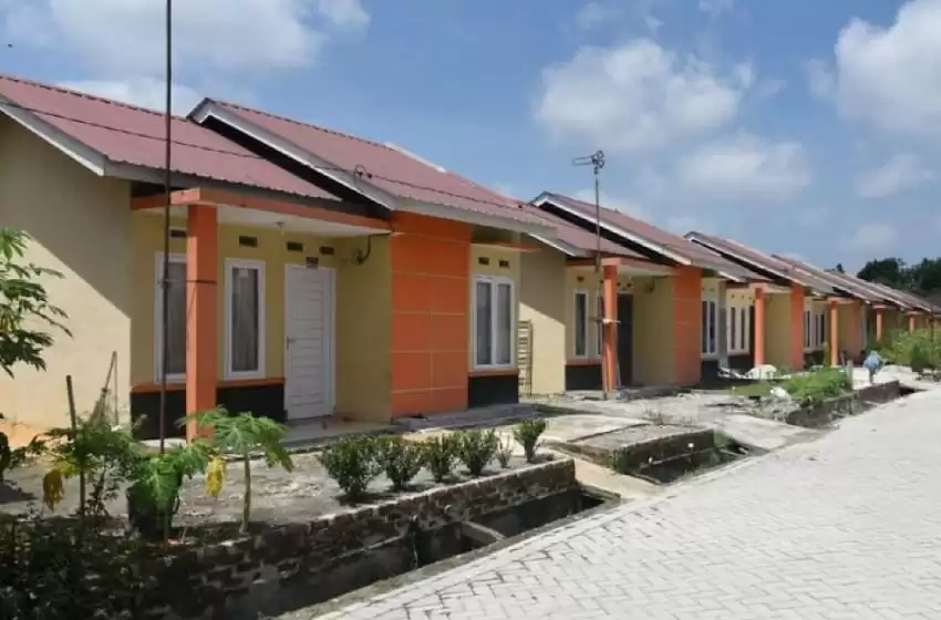 Director-General of Public Works and Housing Infrastructure Financing