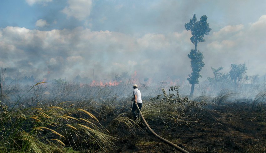 Indonesia forest fires