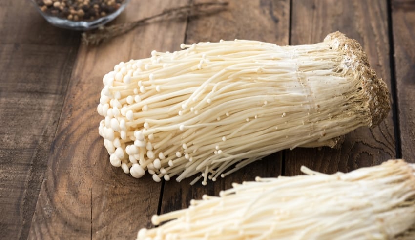 Enoki Mushroom