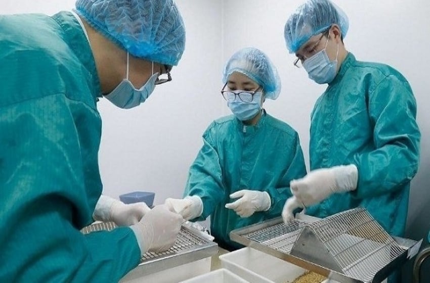 Vietnam Covid-19 vaccine makes significant progress