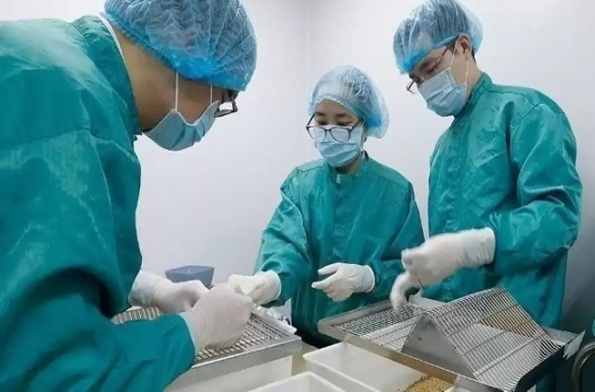 Vietnam Covid-19 vaccine makes significant progress
