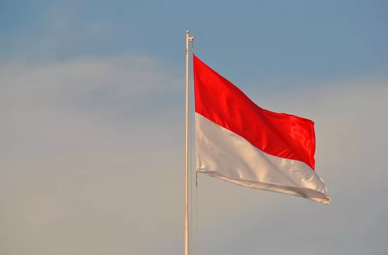 Indonesia is Working Towards Improving Information Defense with Data Privacy Laws