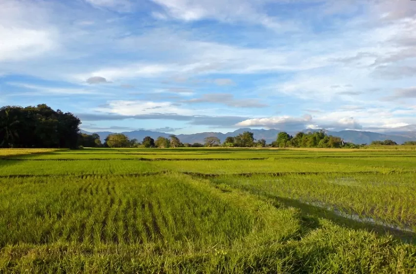 ADB approves $400m loan to boost agree reforms