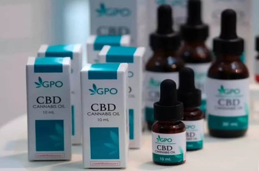 Cabinet supports the extension of the medicinal cannabis growing law