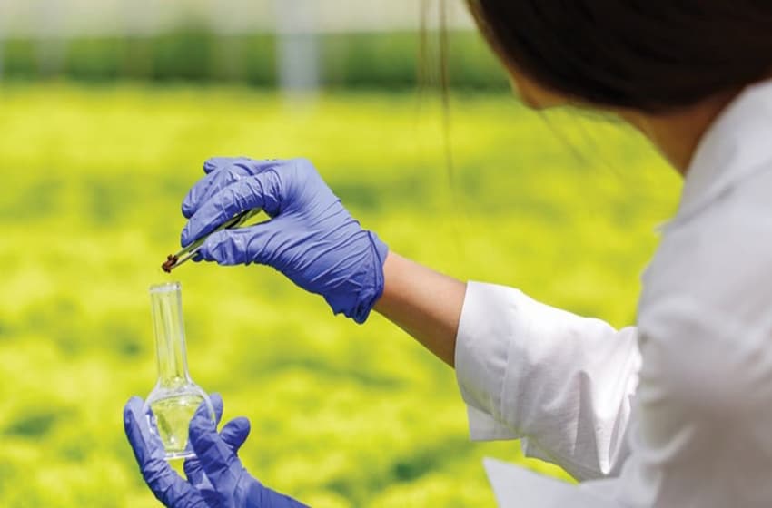 BCG’s Biodiversity and Technological Strengths Thrive