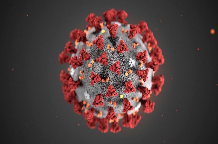 New coronavirus strain detected in Philippines