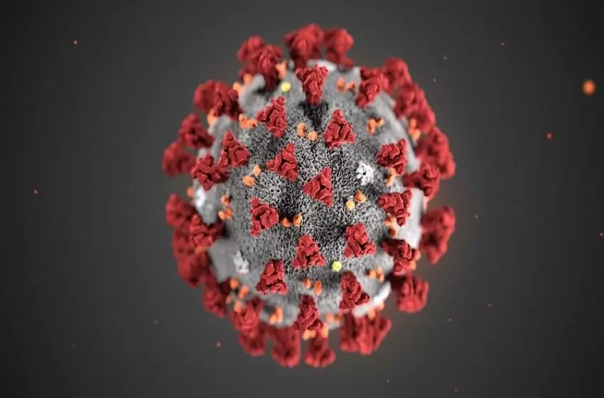 New coronavirus strain detected in Philippines