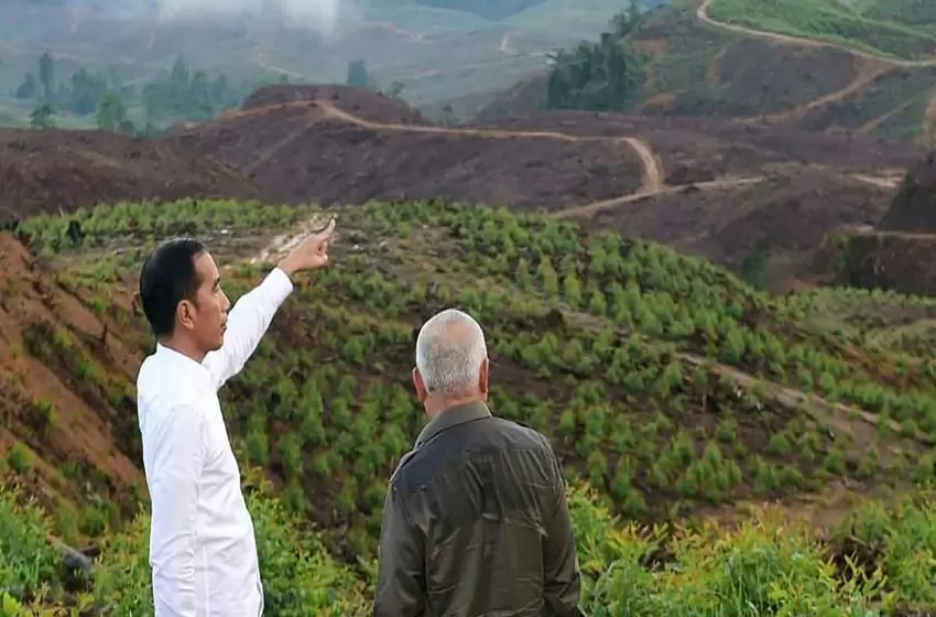 Focus on Covid-19, Govt Decides to Postpone Development of New Capital City in East Kalimantan