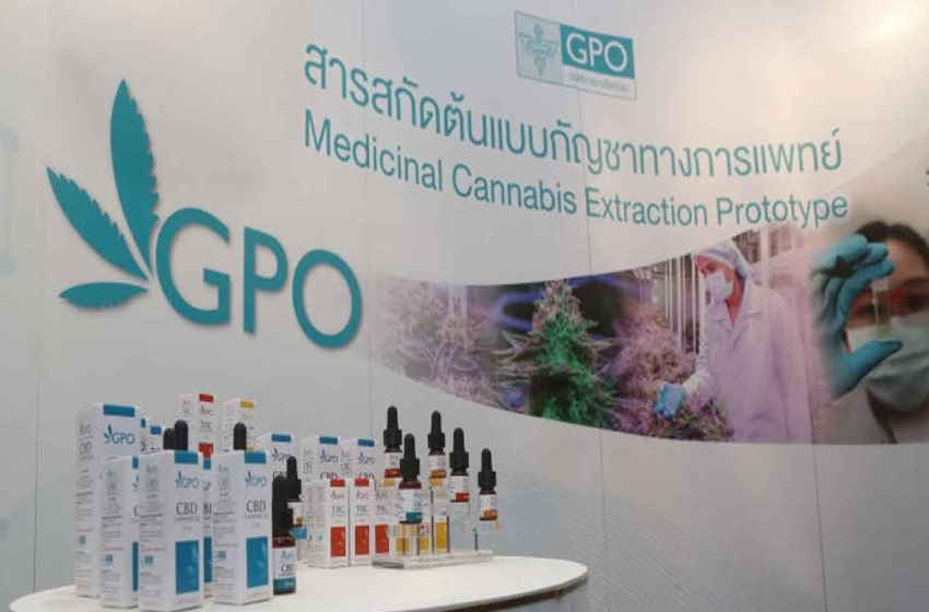 GPO is Surprised that Cannabis Extracts Perform Well in Patients