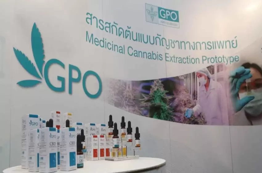 GPO is Surprised that Cannabis Extracts Perform Well in Patients