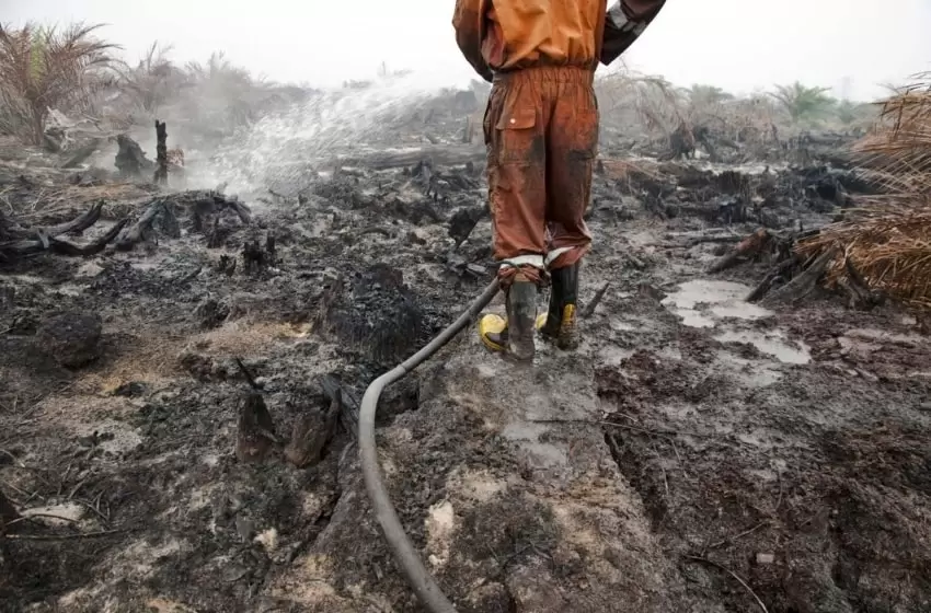 Firefighters